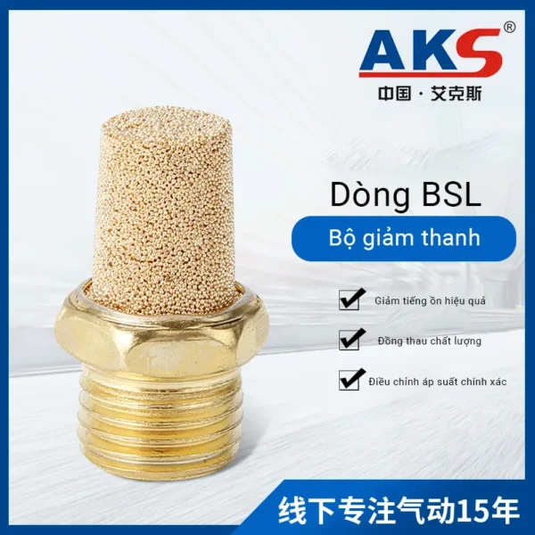 Hình ảnh minh họa - BSL (1)