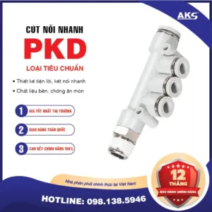 Hình ảnh minh họa - PKD