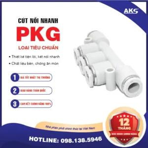 Hình ảnh minh họa - PKG